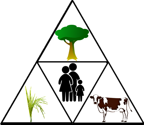 Logo Agroforesterie